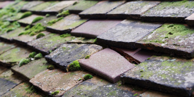 South Hanningfield roof repair costs
